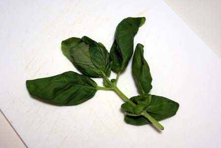 のだめカンタービレ　地鶏のカプリ風　ビストロ・アニメシ