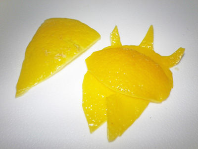 ビストロ・アニメシ　ライオンキング　ハクナマタタ　虫を食べる