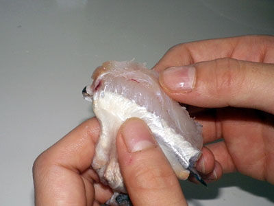 NARUTO なると ラーメン ビストロ・アニメシ