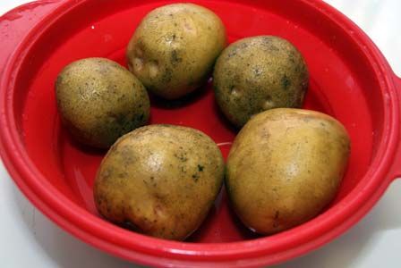 めぞん一刻　響子さん　愛情弁当　ビストロ・アニメシ