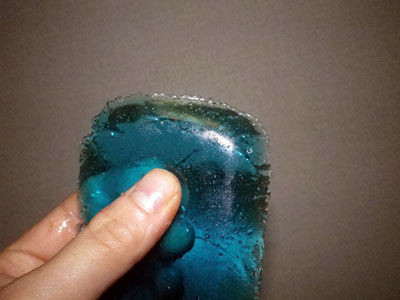 ビストロ・アニメシ　ライオンキング　ハクナマタタ　虫を食べる