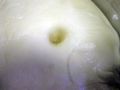 実寸アンパンマン 044