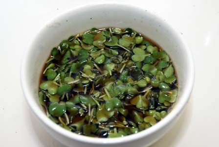 ビストロ・アニメシ