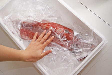 アカイカ　巨大イカ　ビストロ・アニメシ