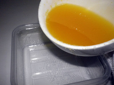 ビストロ・アニメシ　ライオンキング　ハクナマタタ　虫を食べる