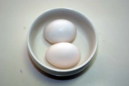 ビッグバーグ 交響詩篇エウレカセブン ビストロ・アニメシ