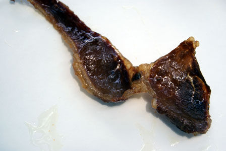 もののけ姫　もののけジャーキー　いのしし　ビストロ・アニメシ