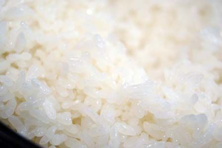 めぞん一刻　響子さん　愛情弁当　ビストロ・アニメシ