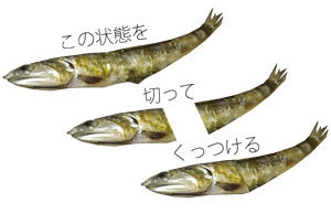 サツキちゃんの手作り弁当 05a