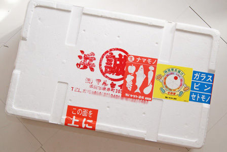 アカイカ　ビストロ・アニメシ