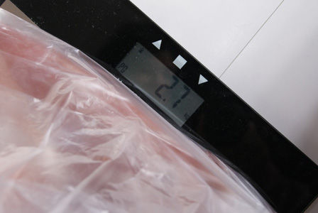 アカイカ　巨大イカ　ビストロ・アニメシ