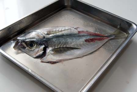 のだめカンタービレ ビストロ・アニメシ アジ 炭だろ!