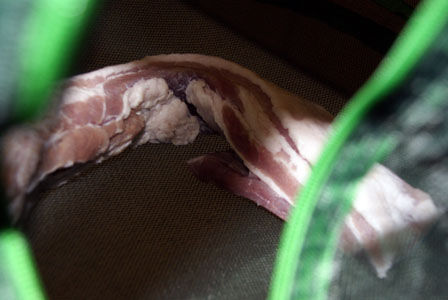 ビストロ・アニメシ ハウルの動く城 マルクルのベーコンエッグ ベーコンの乾燥