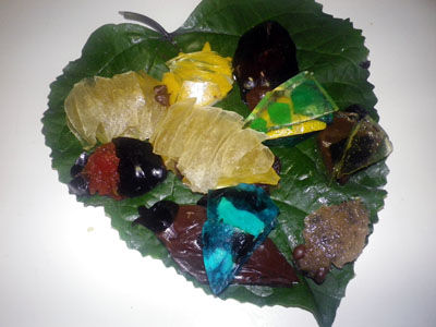 ビストロ・アニメシ　ライオンキング　ハクナマタタ　虫を食べる