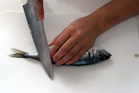 のだめカンタービレ ビストロ・アニメシ アジ 炭だろ!