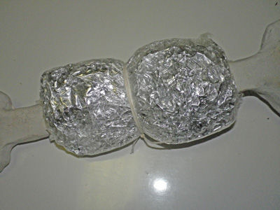 マンモスの肉 20