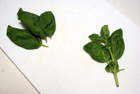 のだめカンタービレ　地鶏のカプリ風　ビストロ・アニメシ