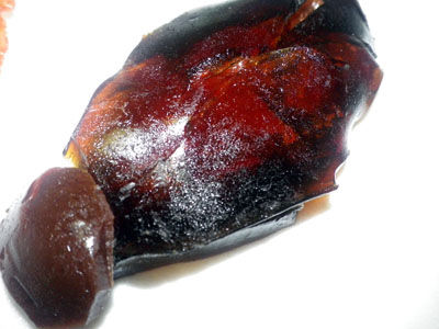 ビストロ・アニメシ　ライオンキング　ハクナマタタ　虫を食べる