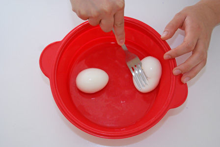 ビストロ・アニメシ タルタルソース