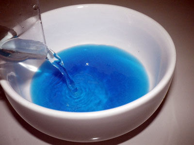 ビストロ・アニメシ　ライオンキング　ハクナマタタ　虫を食べる