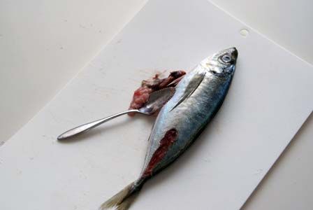 のだめカンタービレ ビストロ・アニメシ アジ 炭だろ!