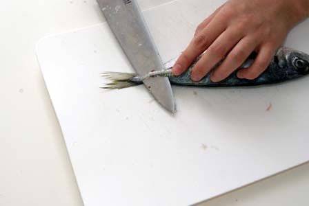 のだめカンタービレ ビストロ・アニメシ アジ 炭だろ!