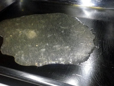 ビストロ・アニメシ　ライオンキング　ハクナマタタ　虫を食べる