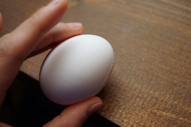 温泉タマゴの作り方 ビストロ・アニメシ