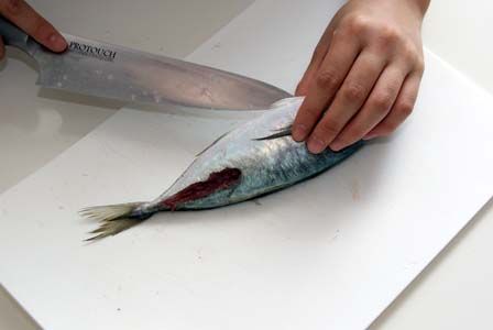 のだめカンタービレ ビストロ・アニメシ アジ 炭だろ!