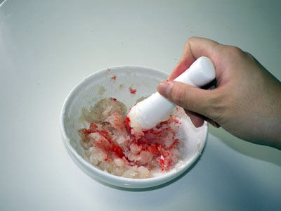 NARUTO なると ラーメン ビストロ・アニメシ