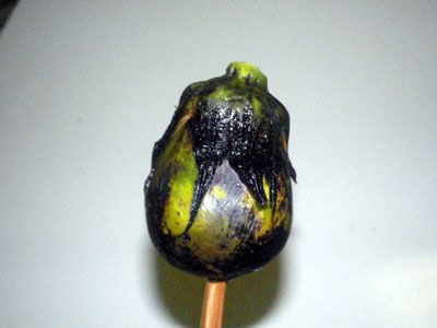 茄子アンダルシア ビストロ・アニメシ 茄子のアサディジョ漬け