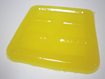 ビストロ・アニメシ　ライオンキング　ハクナマタタ　虫を食べる