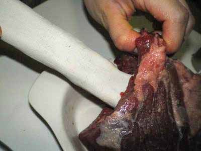 マンモスの肉 08