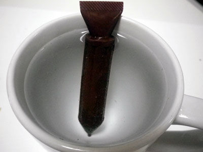 ビストロ・アニメシ　ライオンキング　ハクナマタタ　虫を食べる