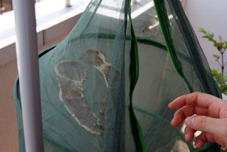 もののけ姫　もののけジャーキー　いのしし　ビストロ・アニメシ